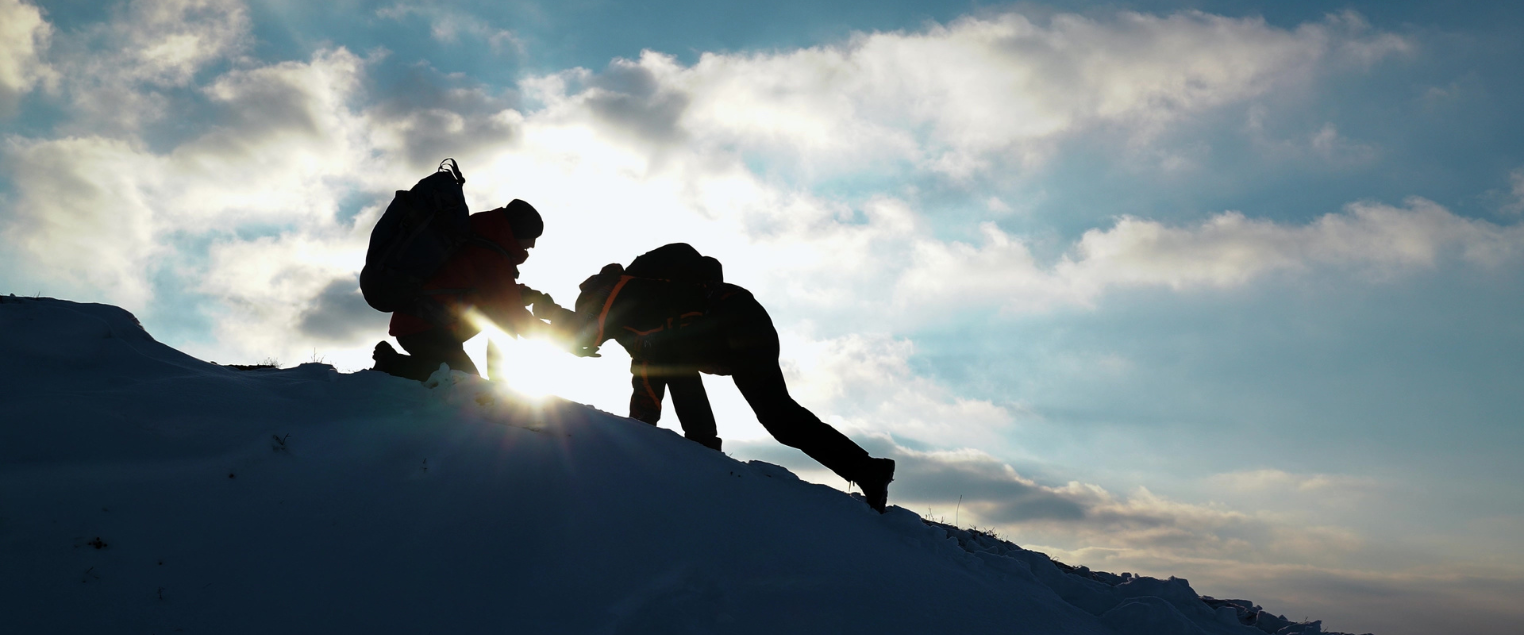 alberi e pannelli solari