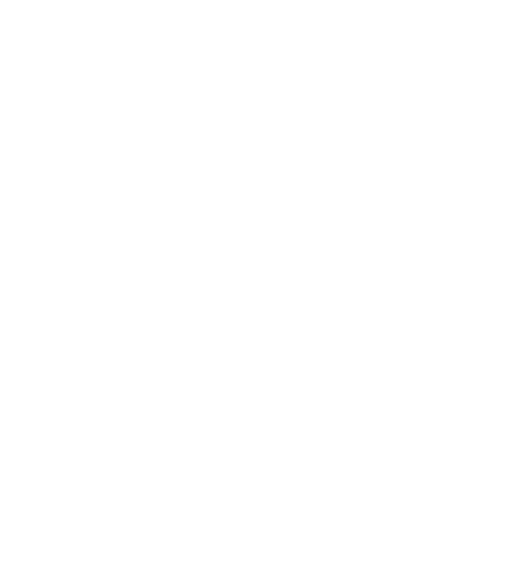 Document's Icon