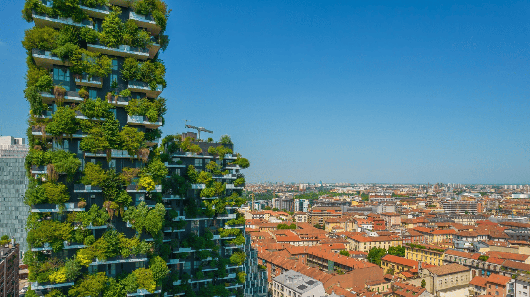 Milan’s Vertical Forest (Bosco Verticale)